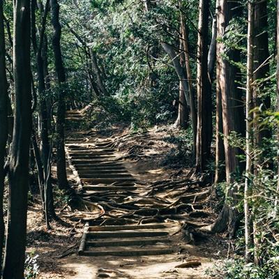 月海仙剑无限元宝版下载