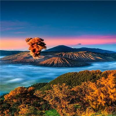 动人星弦最新版下载